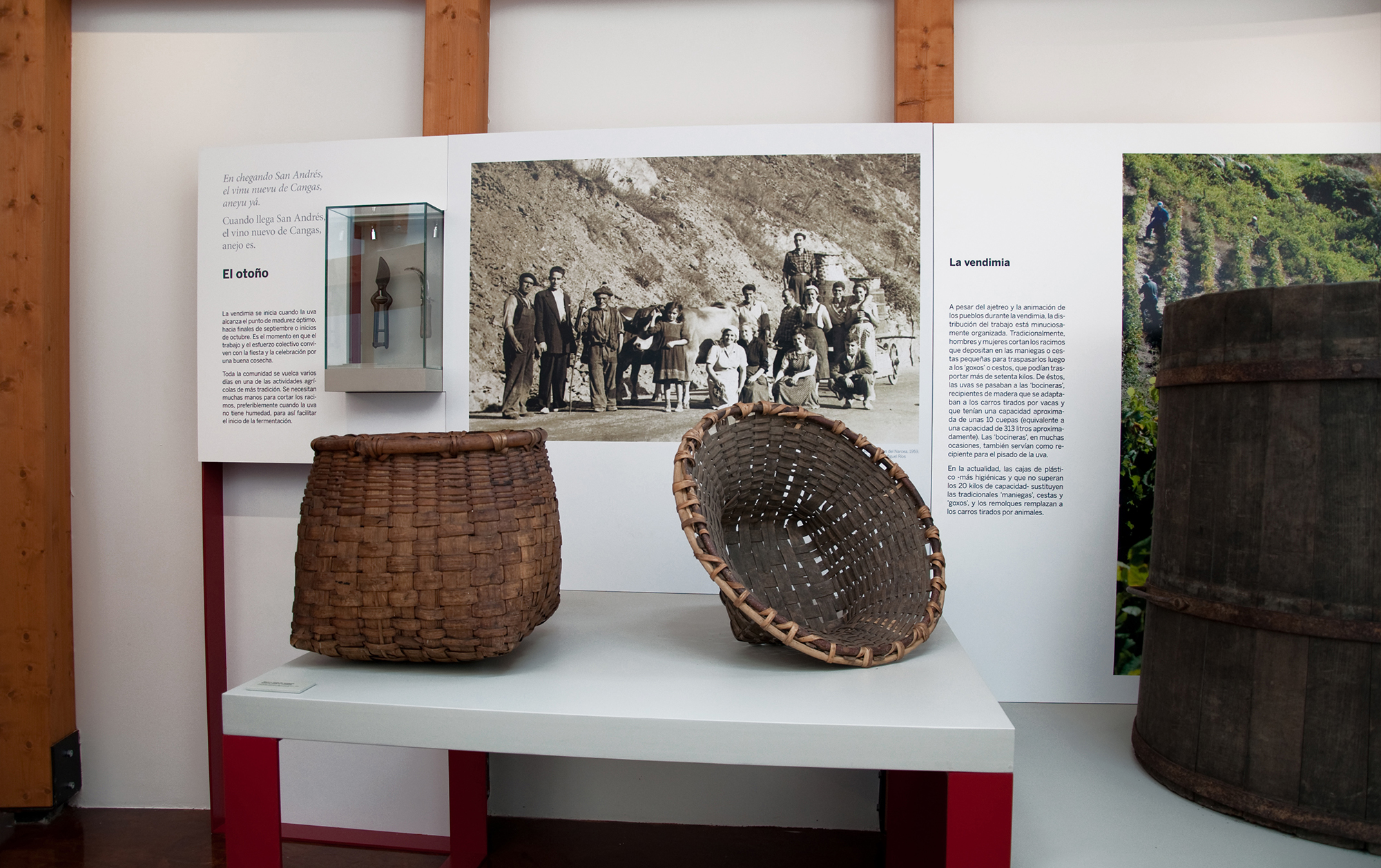 jorge_lorenzo_museo_del_vino_cangas_de_narcea_07