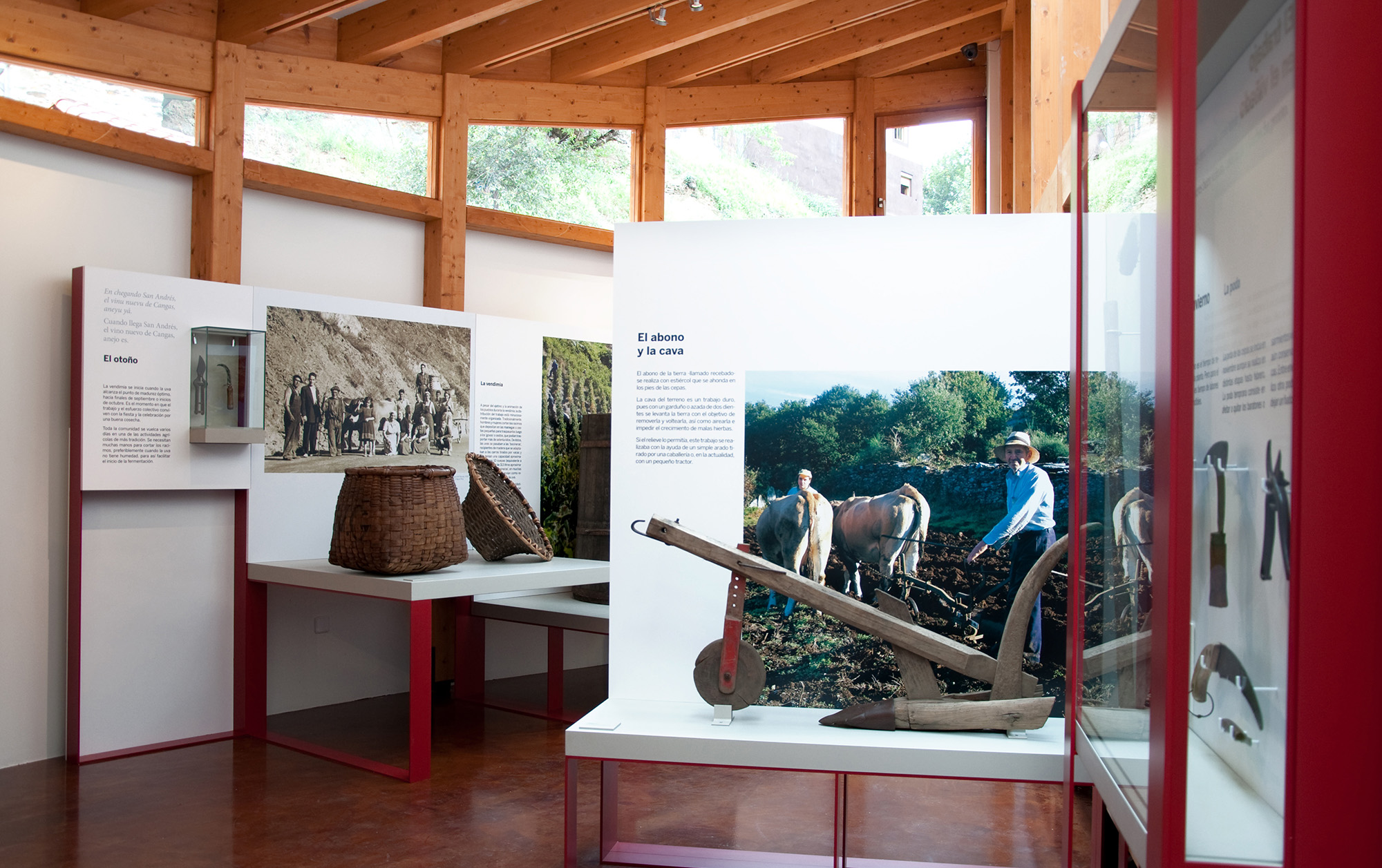 jorge_lorenzo_museo_del_vino_cangas_de_narcea_08